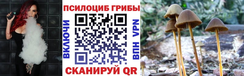 Галлюциногенные грибы MAGIC MUSHROOMS  Семикаракорск 